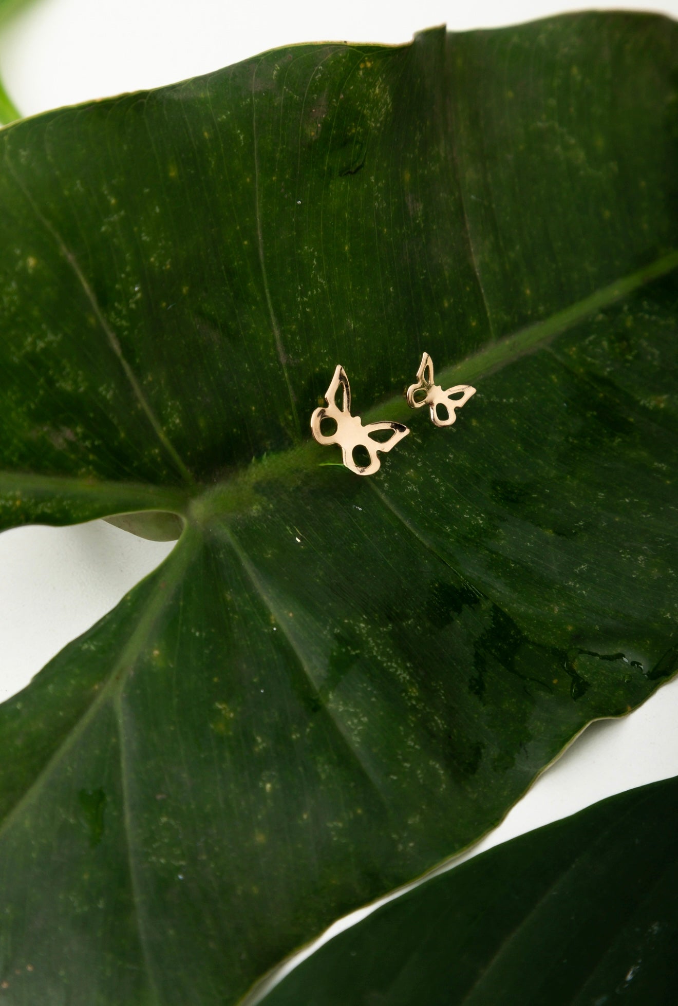 Double Butterfly Earring