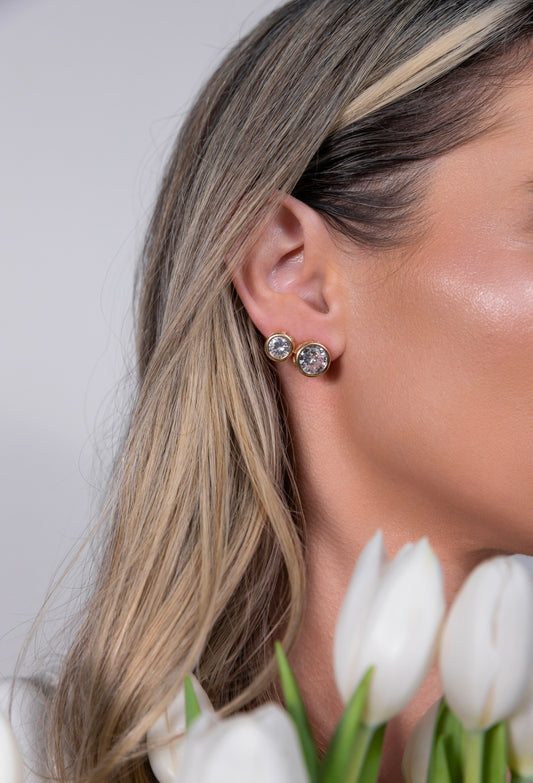 Double Zirconia Earring
